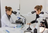 Annual Food Agenda 2018 [internet]-50