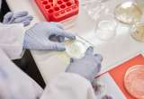 InformPack-Warsztaty-w-laboratoriach-47