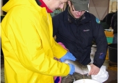 Dr Radosław Kowalski uczy rybakow metody tarla pneumatycznego