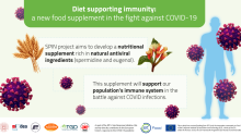 Banner-SPIN_3_v3
