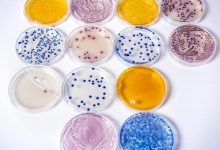 Mikrobiologia_008