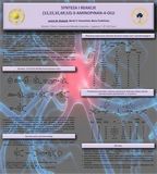 tn_j_wojtasik_poster_1