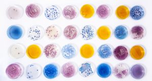 Mikrobiologia_001