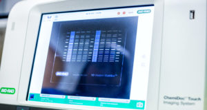 Lab_Biol_Mol-022