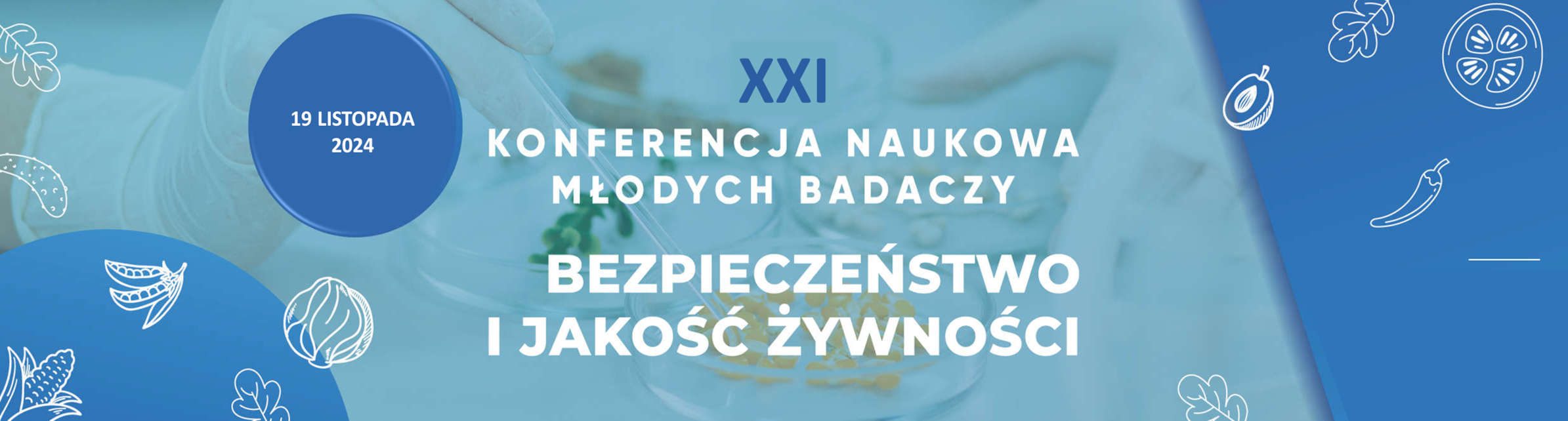 konferencja-naukowa-mlodych-badaczy-2024