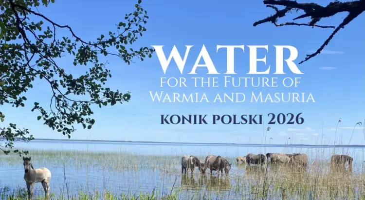 Water for the Future of Warmia and Masuria. Konik Polski 2026 in Popielno and Wierzba
