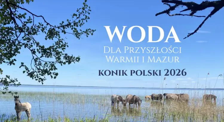 Woda dla przyszłości Warmii i Mazur. Konik Polski 2026 w Popielnie i Wierzbie